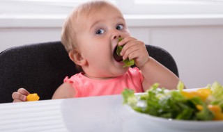 智力低下的孩子的特征（智力低下的孩子的特征精神抖擞精神,一个个精神抖擞）