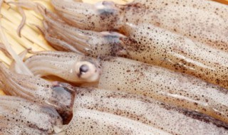 鱿鱼卷怎么切（鱿鱼卷怎么切图解）