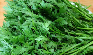 茼蒿怎么读 茼蒿怎么读王子变青蛙