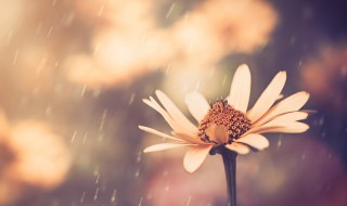 朋友之间的早安暖心话 朋友之间的暖心早安问候语