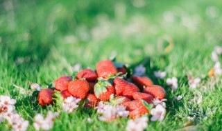 早安问候语幽默给女人 暖心早安问候语幽默给女人
