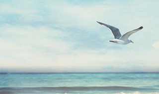 早安心语励志2021最新（早安心语励志2021最新问候图片）