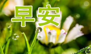 清晨的问候暖心（清晨的问候暖心间）