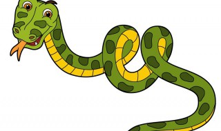 蛇入屋是吉是凶（蛇入屋是吉是凶给打死了）