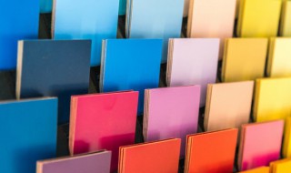 白色外套内搭什么颜色好看(白色外套内搭什么颜色好看图片)