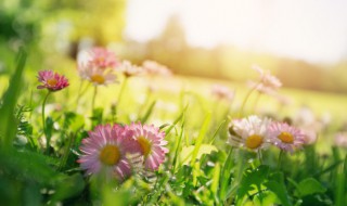 早上好发给朋友的暖心话（早上好发给朋友的暖心话简短）