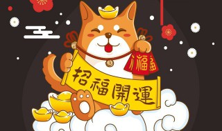 卧室的财位放什么招财（卧室的财位放什么招财又旺人）