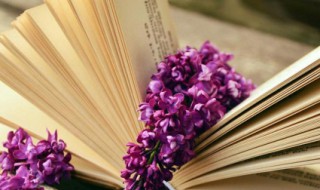 封字组词 封字组词二年级