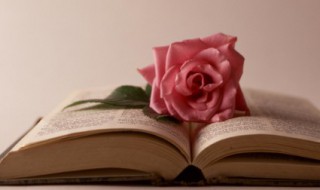 抢的组词 抡的组词