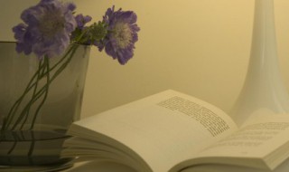 逐字组词（逐组词）