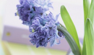 推的组词（推的组词和偏旁）