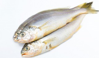 鱼有什么好处 吃鲅鱼有什么好处
