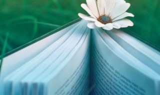 强字组词（强字组词和部首）