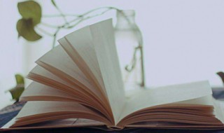 捕字组词 捕字组词二年级