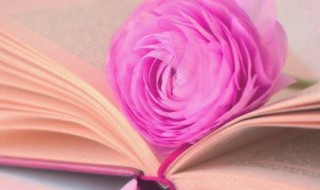 电的组词（电的组词和拼音）