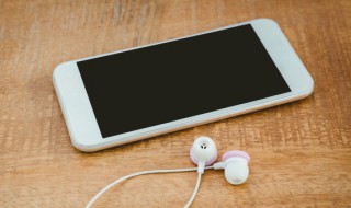 苹果怎么换字体(苹果怎么换字体和主题)