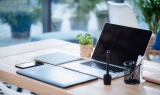 电脑怎么下载植物大战僵尸(电脑怎么下载植物大战僵尸2)