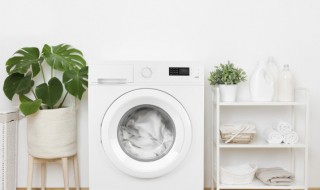 滚筒洗衣机怎么放洗衣液 全自动滚筒洗衣机怎么放洗衣液