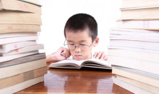 士组词 士组词二年级上册