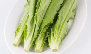 油麦菜什么人不能吃 油麦菜不适合什么人吃