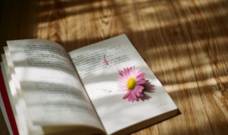 吔怎么读（吔怎么读音）