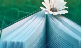 忆组词 忆组词 词语