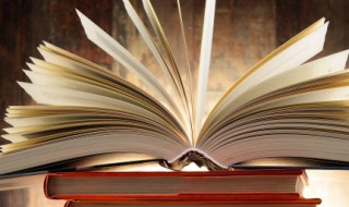 写字组词（写字组词的拼音）