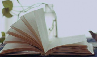 引组词（引组词和拼音）