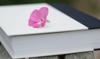 虎组词和拼音 虎组词和拼音造句