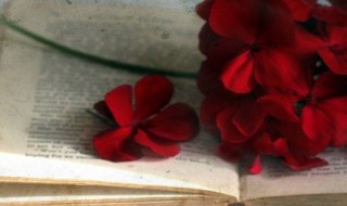 谈怎么组词 亩怎么组词