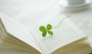 释怎么读（迦怎么读）