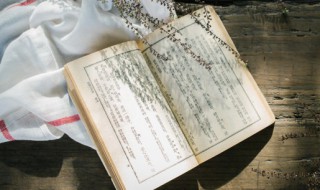 讥诮怎么读（讥诮怎么读?意思是?没有任务详情）