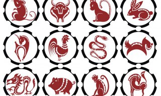 12生肖配对相生相克（12生肖配对相生相克图）