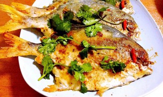 红烧鲳鱼怎么做最好吃 鲳鱼怎么做最好吃