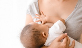 催奶师怎么催奶的 催奶师怎么催奶的图片