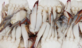 冷冻螃蟹的做法大全（冷冻螃蟹的做法大全视频）