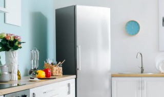 冰箱的冰温室能放什么 冰箱的冰温室能放什么植物