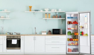 冰箱变温室放什么最好（冰箱变温室多大合适?）