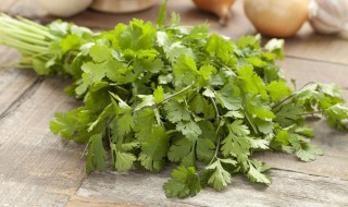 香菜可以冷冻吗（香菜可以直接冷冻吗）