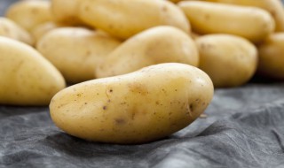 芝士焗土豆的做法微波炉 芝士焗土豆的做法