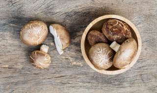 香菇汤做法（香菇汤做法 家常简单）