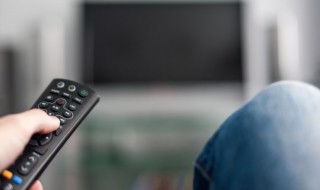 唐宫燕剧情介绍 唐宫燕大结局是什么