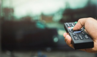 富贵门剧情介绍（富贵门剧情介绍详细）