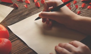 一时之选是什么意思 皆为一时之选