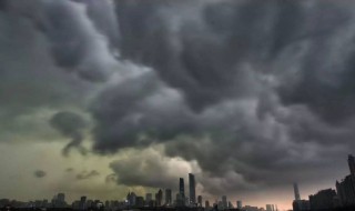 狂蜂暴剧情介绍（狂暴剧情解析）