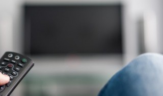 海星剧情介绍(海星剧情解析)