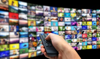 剧场剧情介绍（剧场剧情介绍模板）