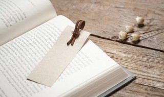 诸如此类是什么意思（诸如此类是什么意思?）