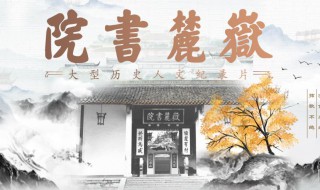 岳麓书院剧情介绍（岳麓书院 电视剧）