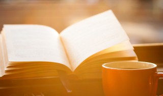 有一得一是什么意思（一什么一得?）